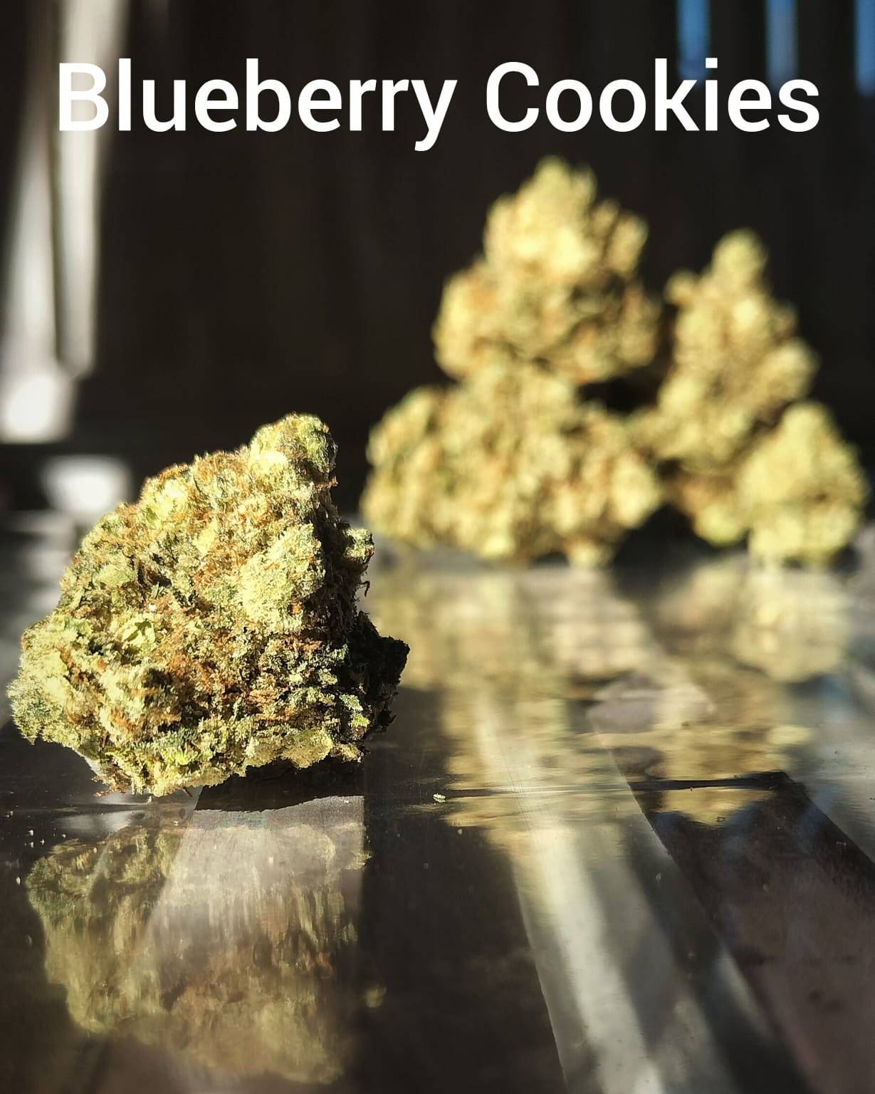 Blueberry Cookies