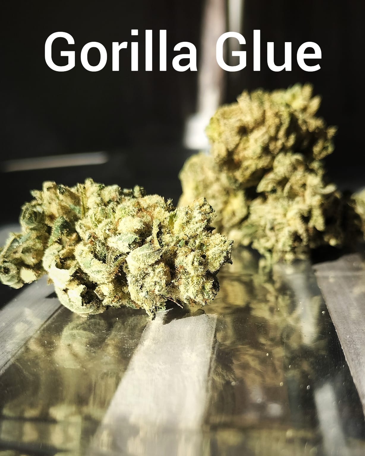 Gorilla Glue
